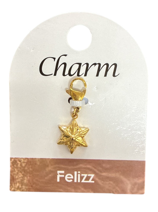 Charm Étoile de Mer